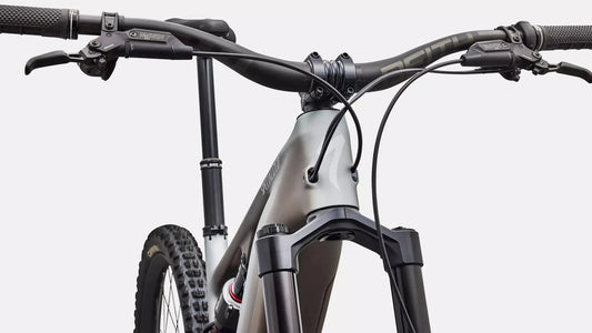 SPECIALIZED Levo 4 EVO Pro - Satin Shadow / Silver Dust