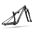 SPECIALIZED SWorks Epic 9 Frameset - Satin Carbon
