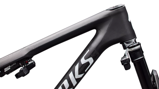 SPECIALIZED SWorks Epic 9 Frameset - Satin Carbon
