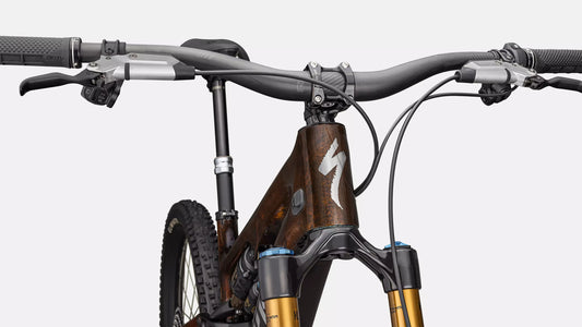 SPECIALIZED SWorks Turbo Levo SL 2 Carbon - Brown Tint