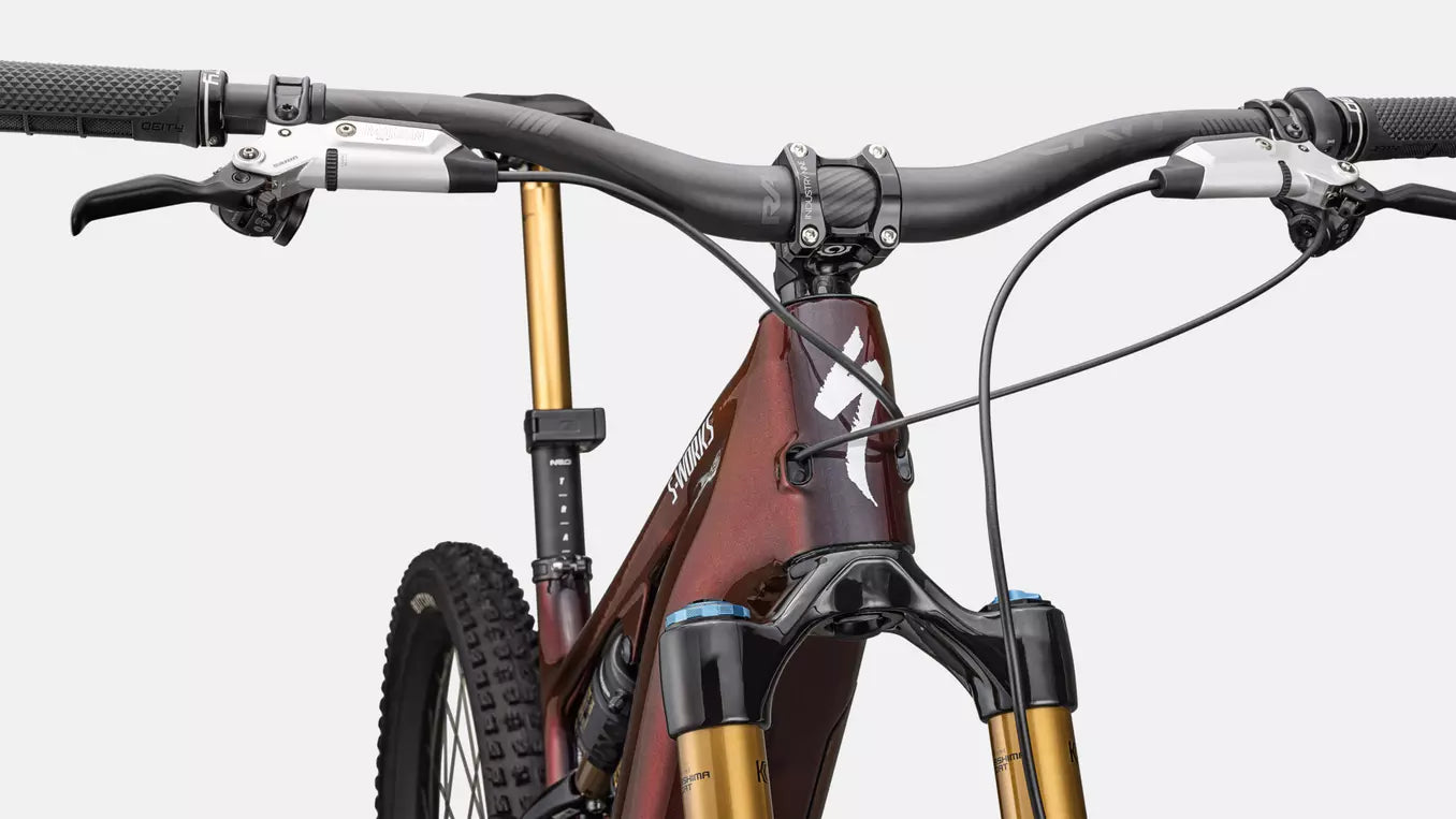 SPECIALIZED Sworks Turbo Levo 4 MTB Ebike - Gloss Red Pearl / Black / Metallic White Silve