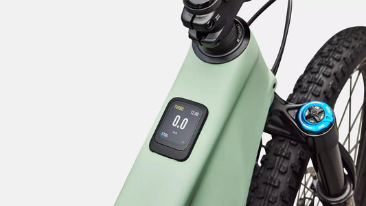 SPECIALIZED Turbo Levo R Expert - Satin Pistachio / Dark Moss Green