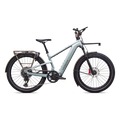 SPECIALIZED Turbo Vado 3 EVO 6.0 Ebike - GLOSS AGAVE GREY / BLACK PEARL