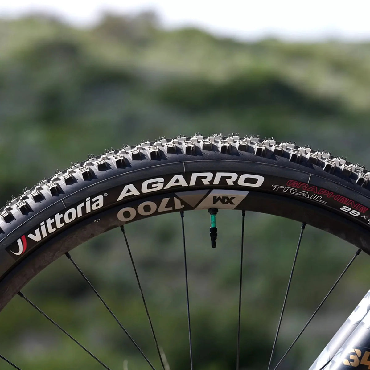 VITTORIA Agarro Trail MTB Tyre - Anthracite