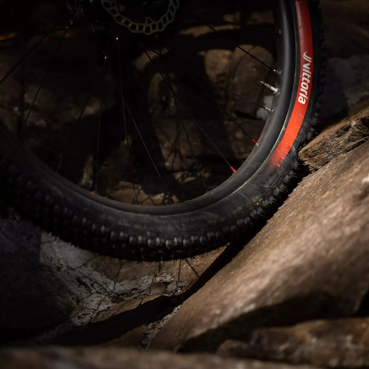 VITTORIA Martello Enduro Race MTB Tyre - Black