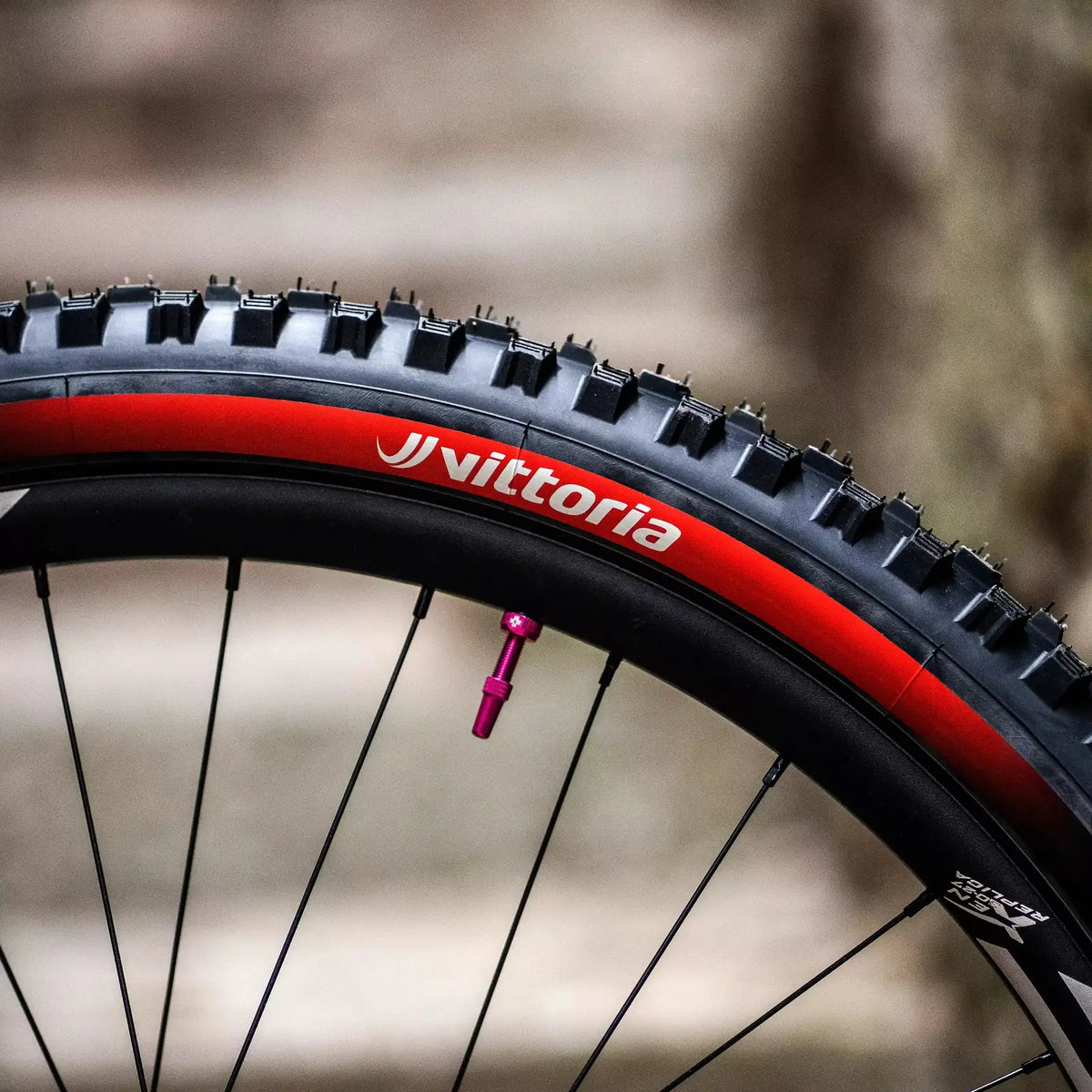 VITTORIA Mazza Enduro Race MTB Tyre - Black