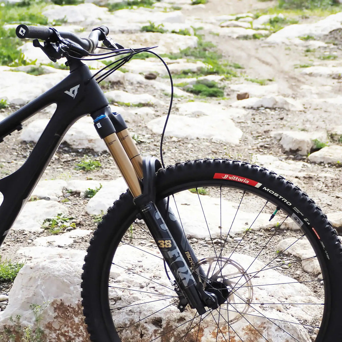 VITTORIA Mostro Enduro Race MTB Tyre - Black