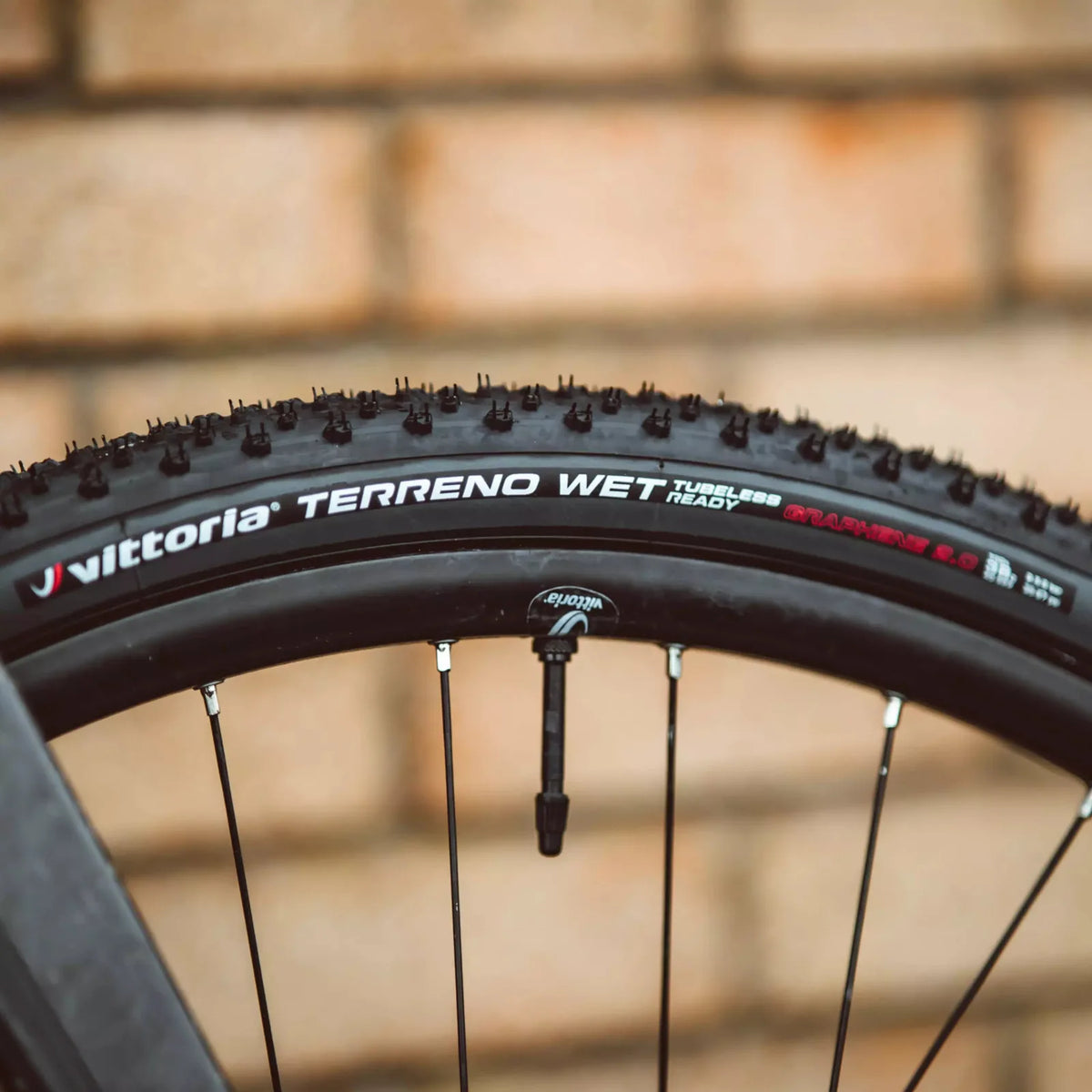 VITTORIA Terreno Wet Gravel Endurance Gravel Tyre - Anthracite