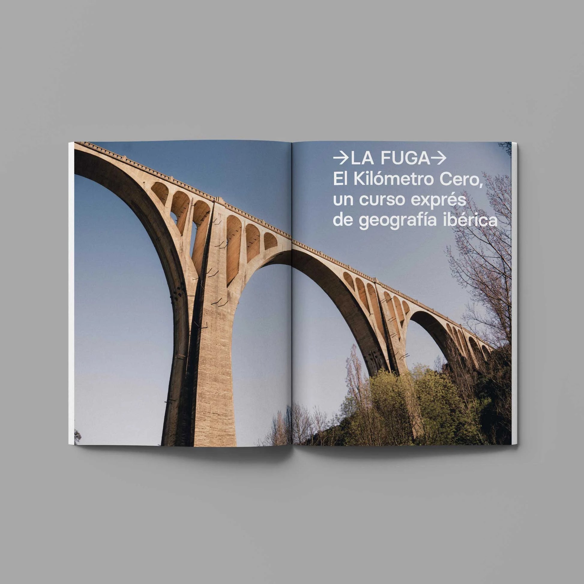 VOLATA MAGAZINE #47