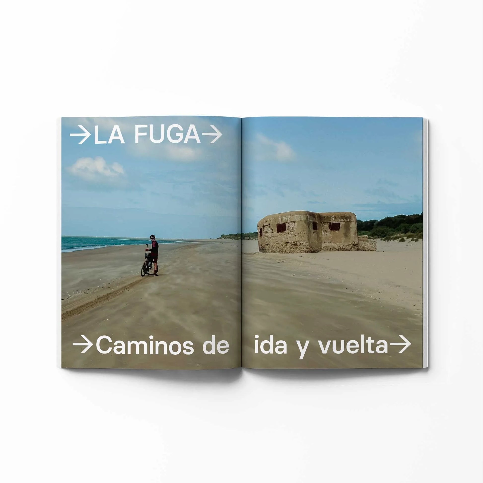 VOLATA MAGAZINE - #48