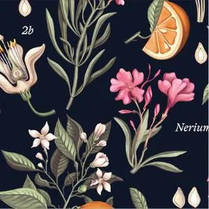 CAFE DU CYCLISTE Fleurette V2 Jersey - Orange Blossom-Jerseys-