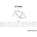 Frame COLNAGO C64 Disc - PJBI Default Velodrom Barcelona 