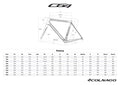 Frame COLNAGO C64 Disc - PJBI-Framesets-