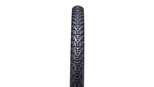 SPECIALIZED Rhombus Pro 2Bliss Ready - Black