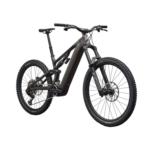 SPECIALIZED Levo 4 EVO Comp - Gloss Warm Smoke / Pistachio