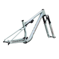 SPECIALIZED Conjunto de cuadro S-Works Epic 9 - Gloss Agave Grey / Violet Pearl / Desert Metallic
