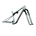 SPECIALIZED Conjunto de cuadro S-Works Epic 9 - Gloss Agave Grey / Violet Pearl / Desert Metallic