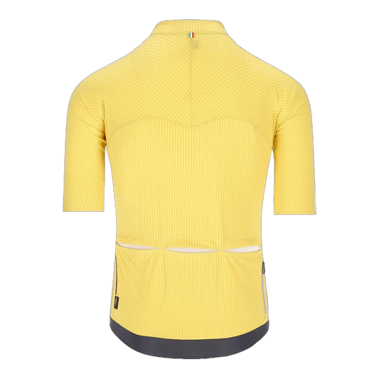 Q36.5 Dottore PRO Jersey Naples - Yellow