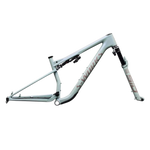 SPECIALIZED Conjunto de cuadro S-Works Epic 9 - Gloss Agave Grey / Violet Pearl / Desert Metallic