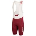 RAPHA Pro Team Winter Bib Shorts - BUB Burgundy/Off White-Velodrom