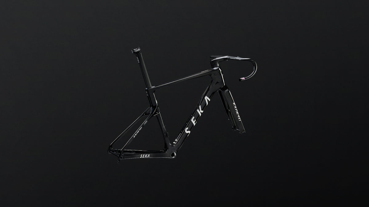 SEKA ExAero aero road bike