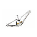 SPECIALIZED Demo Race 2025 Mountain Bike Frameset - Gloss Flake Silver / Gunmetal / Brushed
