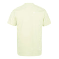 VELODROM Tshirt Pocket Collection - Mint/Transparent-T-Shirts-48682118