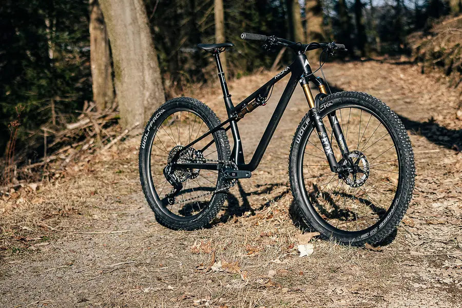 

Full-suspension Avona Silva on a forest trail