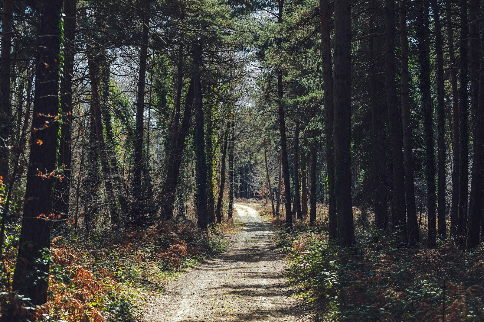 Our selection of gravel routes around Girona to discover incredible corners.