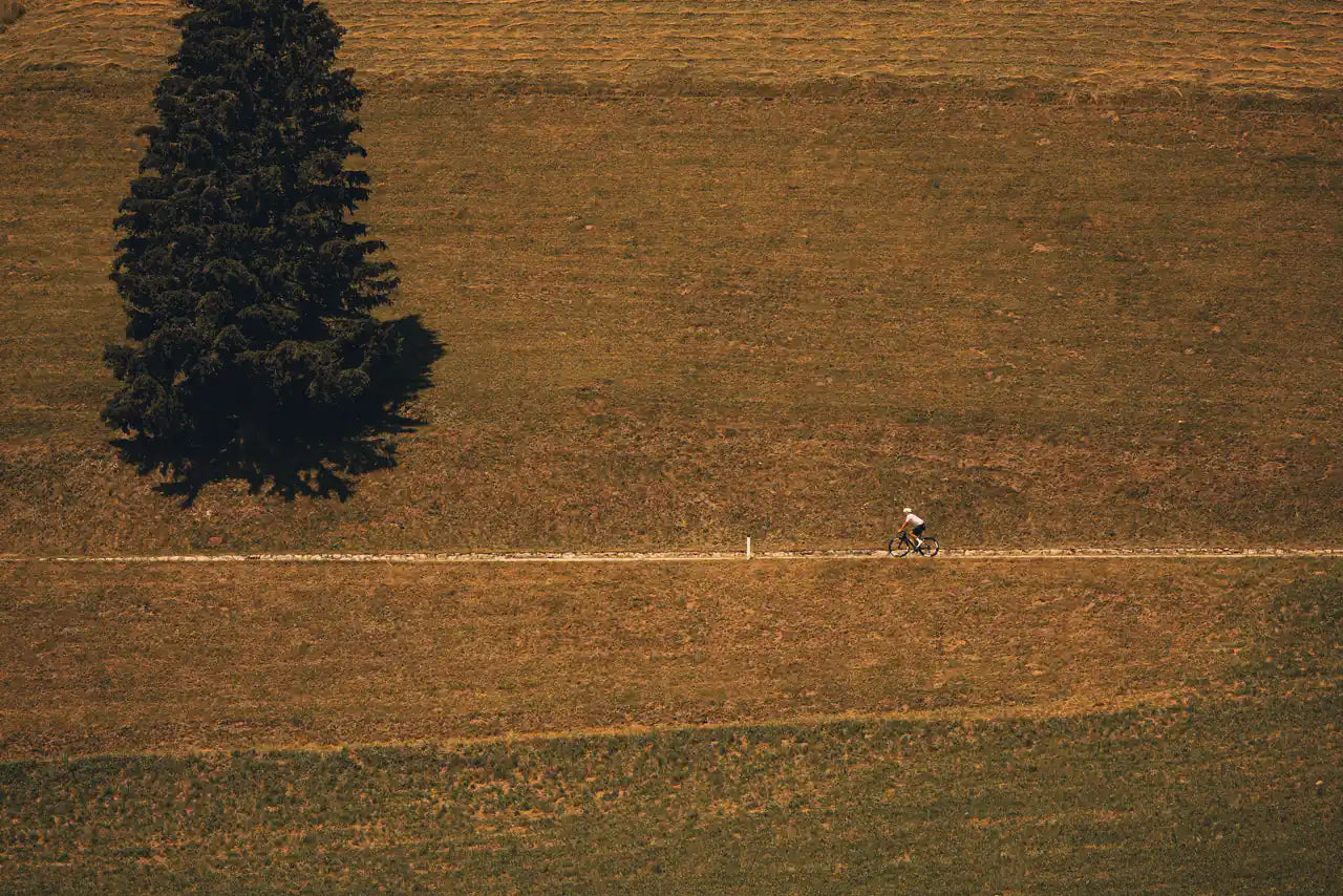 Aerial view of a lone rider crossing a field by a single tree